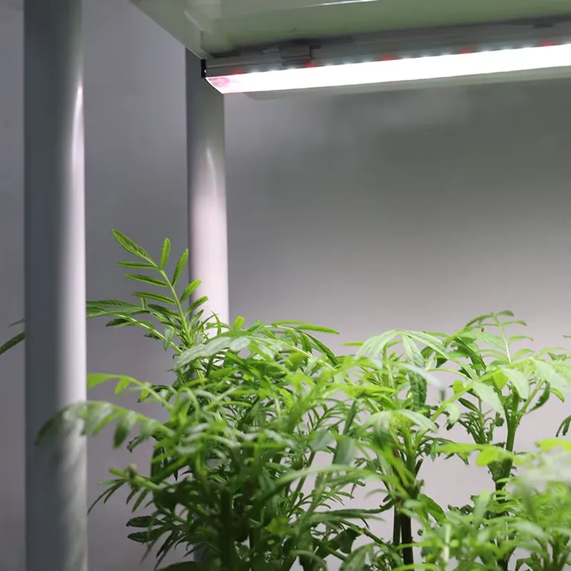 Movable Vertical Grow 3 Level  - Self-Watering Planter recension och pris
