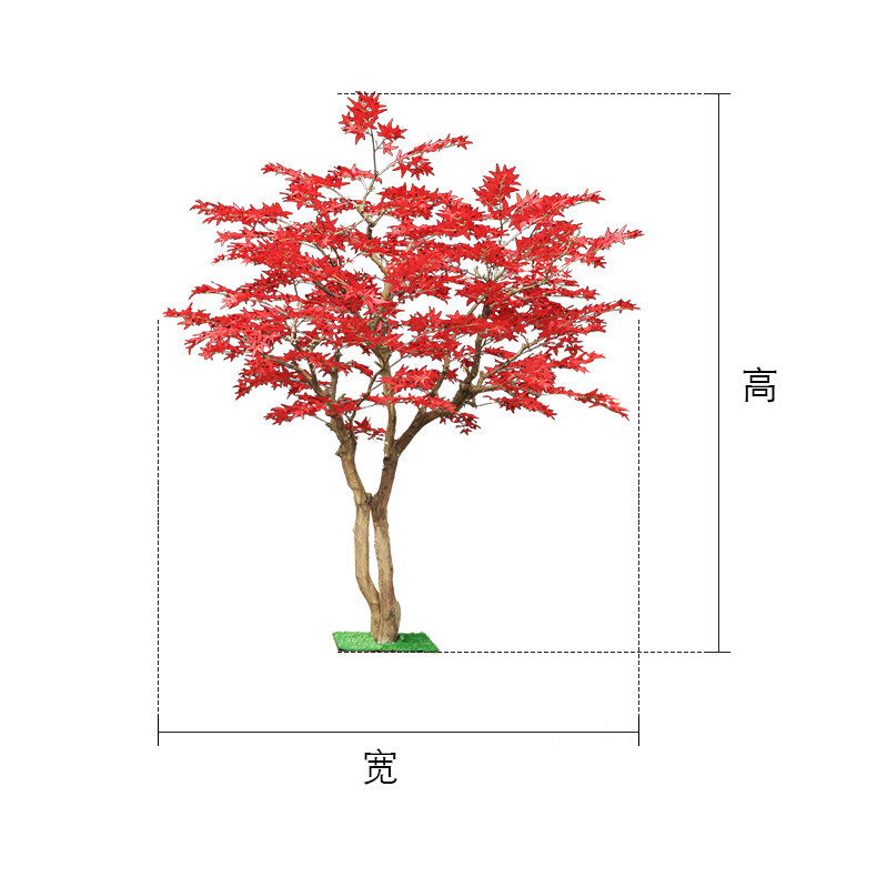 Red maple tree floor-to-ceilin - Gardening Hand Tools Japanese recension och pris
