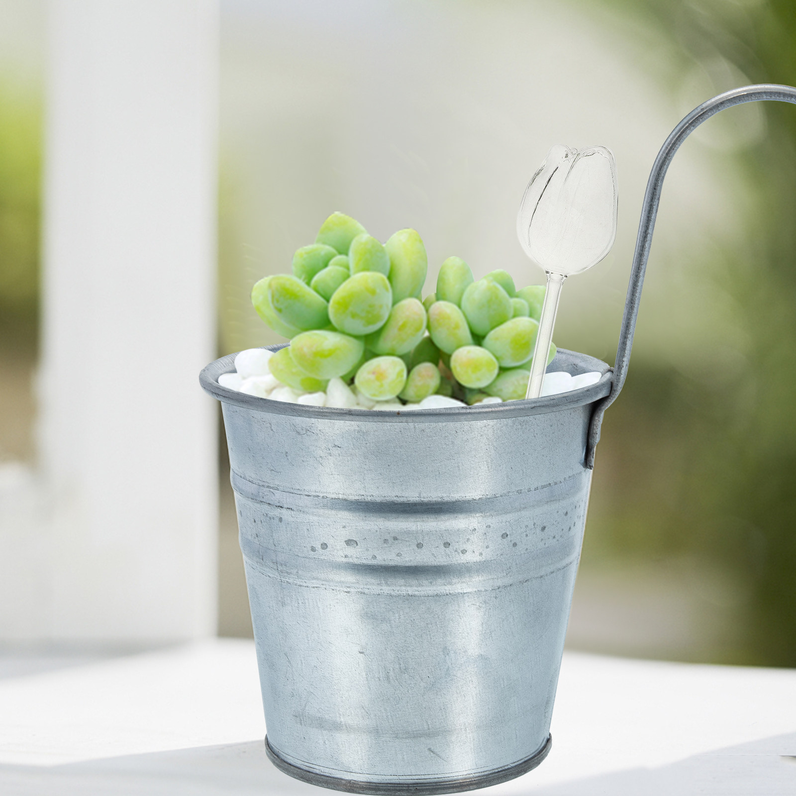 2Pcs Premium High Borosilicate - Self-Watering Planter recension och pris